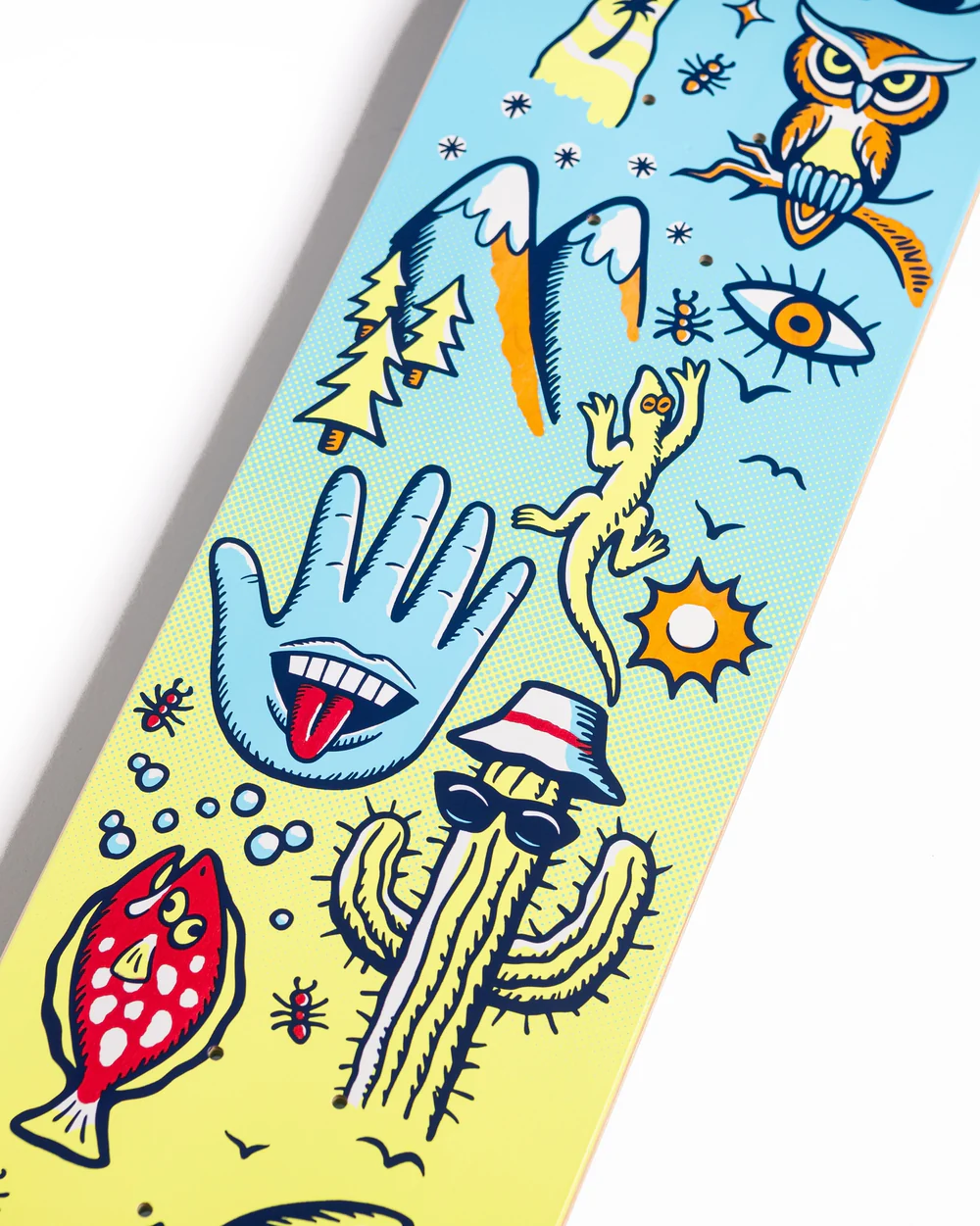 Santa Cruz Skateboards 7.75in Tripper Feelbase. - Image 3